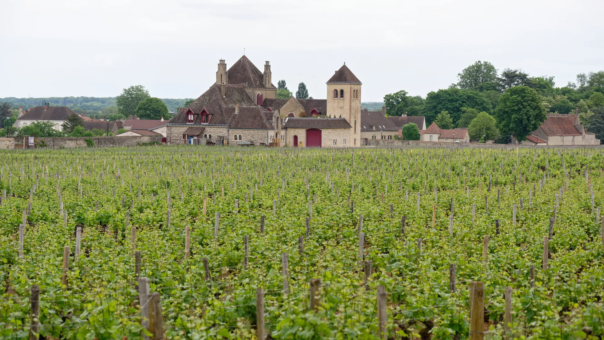 Château du Clos de Vougeot surrounded by vineyard rows on the Côte de Nuits, Burgundy